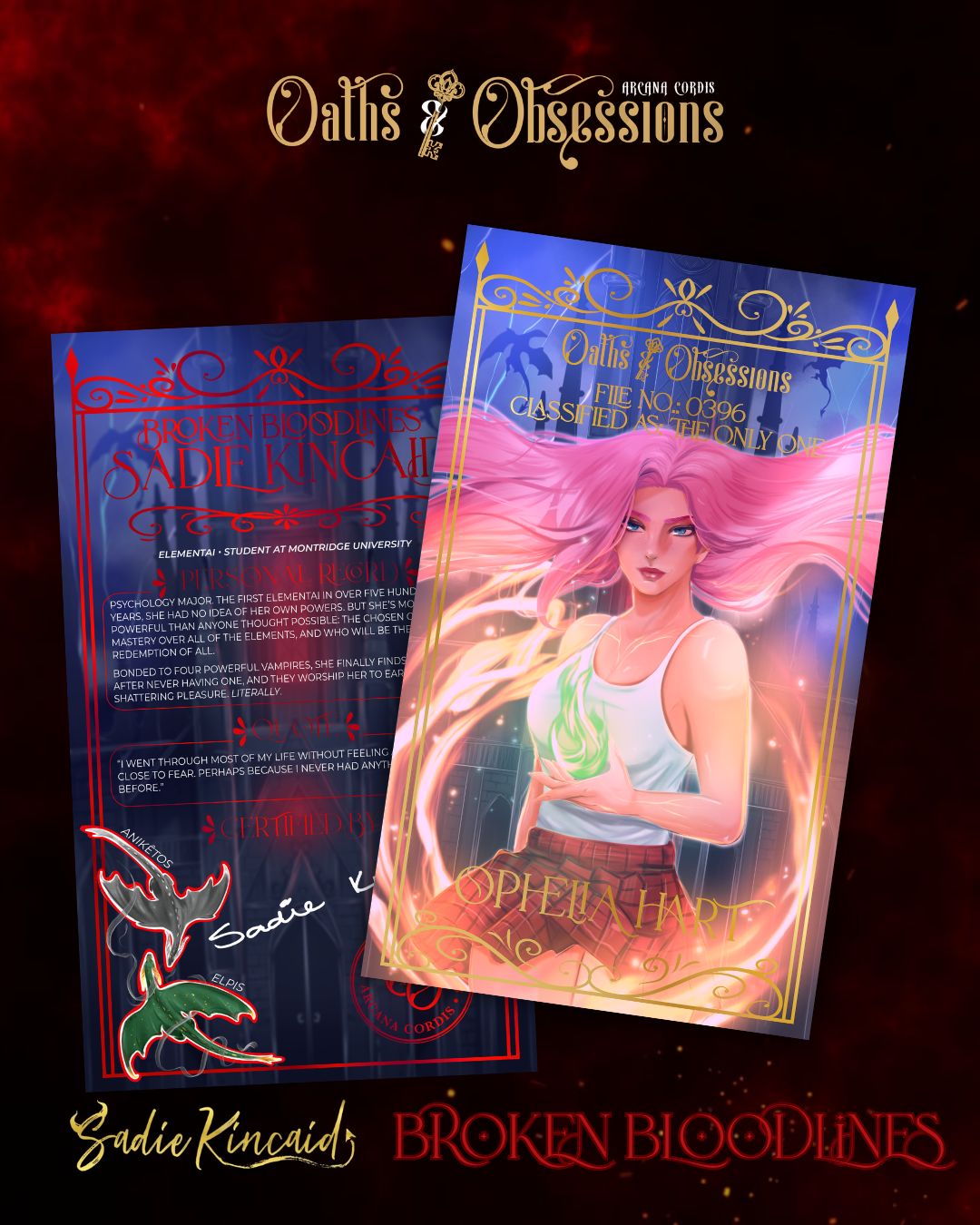 DISCOUNTED OVERSTOCK SALE Broken Bloodlines by Sadie Kincaid